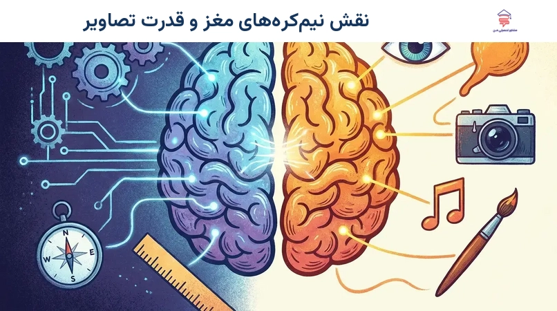 نقش نیم‌کره‌های مغز و قدرت تصاویر