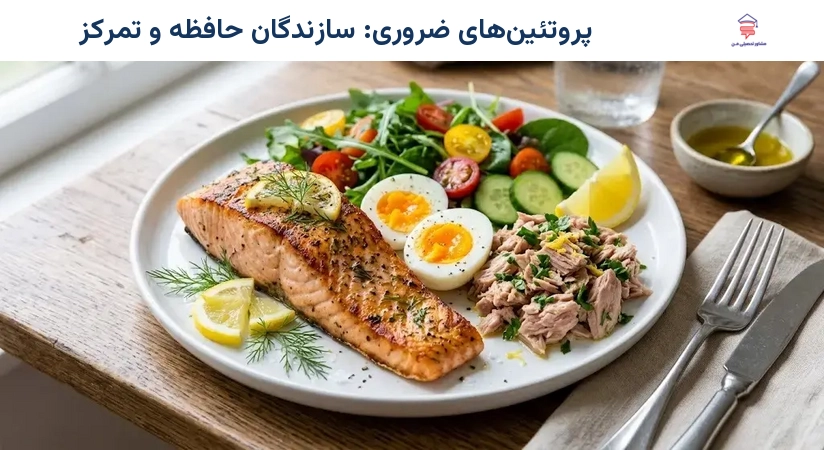 پروتئین‌های ضروری: سازندگان حافظه و تمرکز